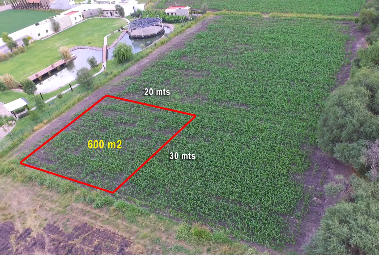 bienes-raices-san-miguel-de-allende-silvia-sanchez-real-estate